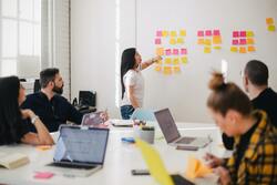 Vive la différence - research software engineers